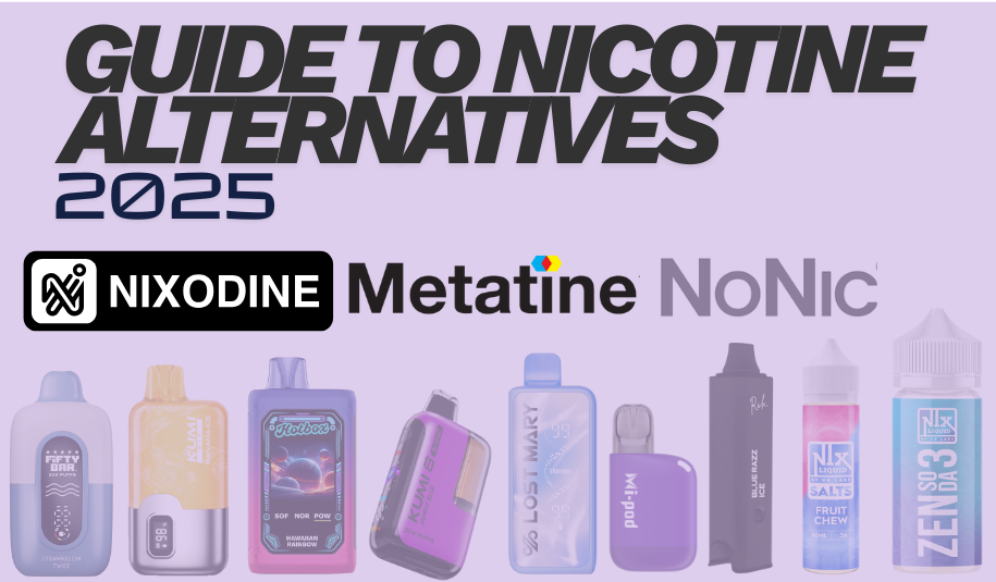 Guide to Nicotine Alternatives 2025