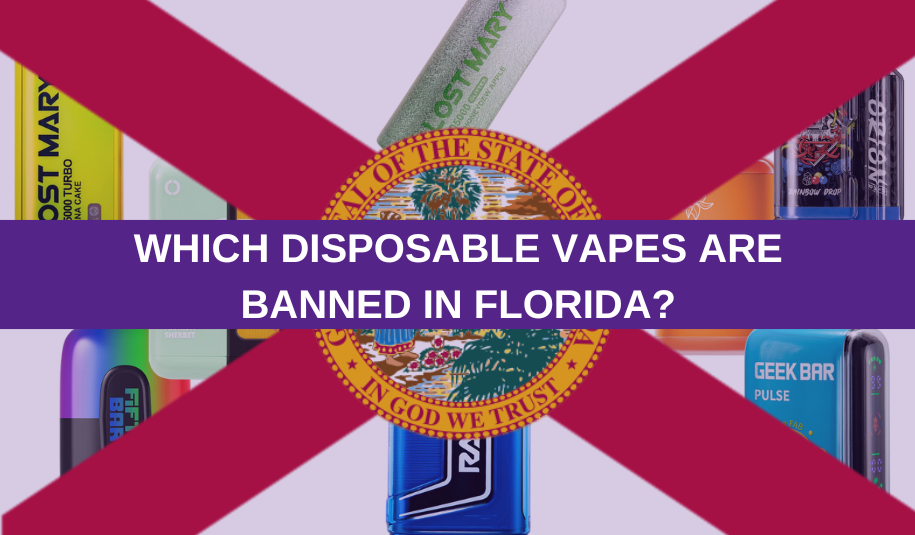 Which Disposable Vapes Are Banned in Florida? Which Disposable Vapes Are Banned in Florida?