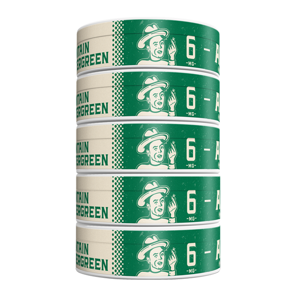 5 pack of 6mg Mountain Wintergreen ALP Pouches for Wholesale