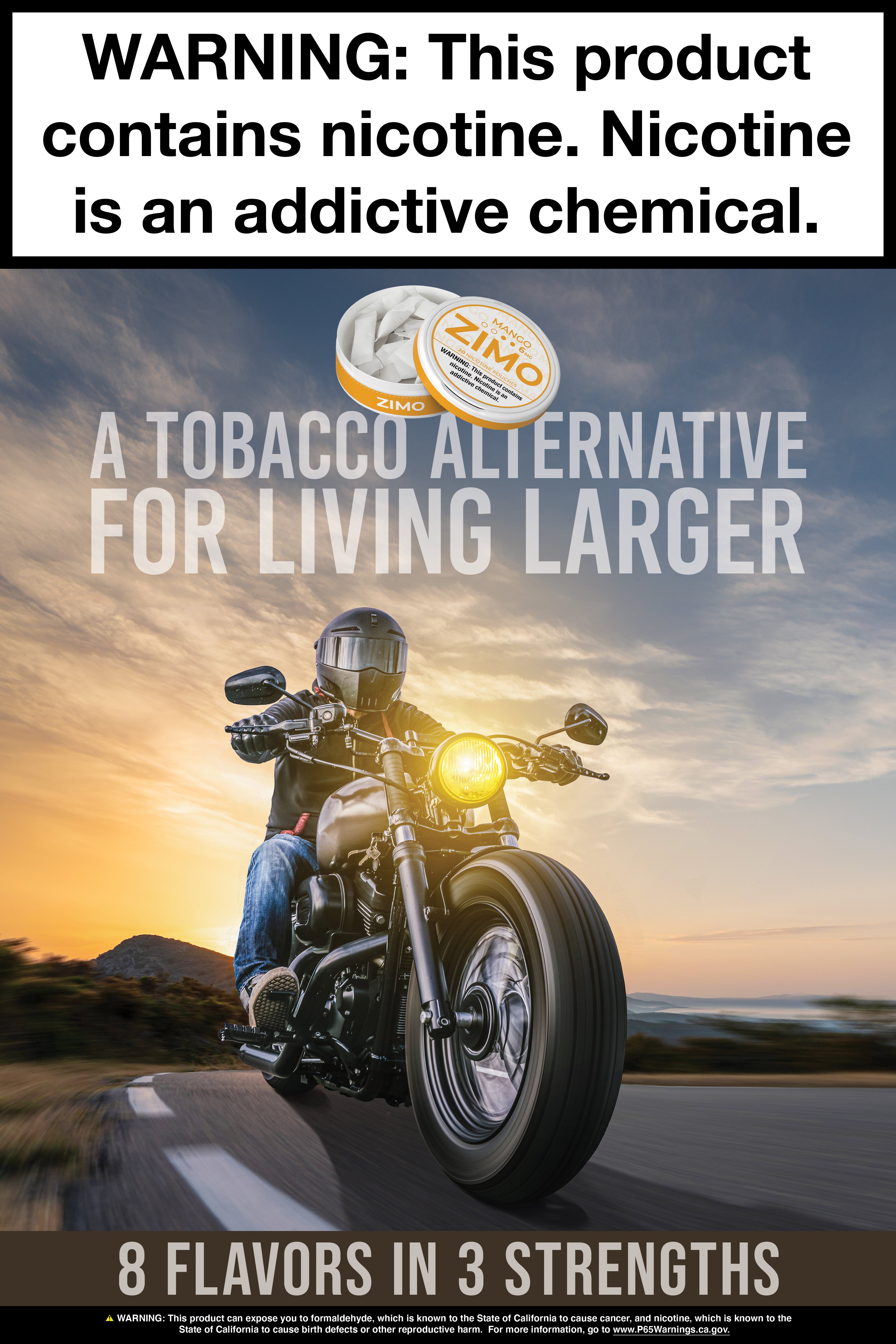 Zimo Pouches Motorcycle Poster 12" x 18"