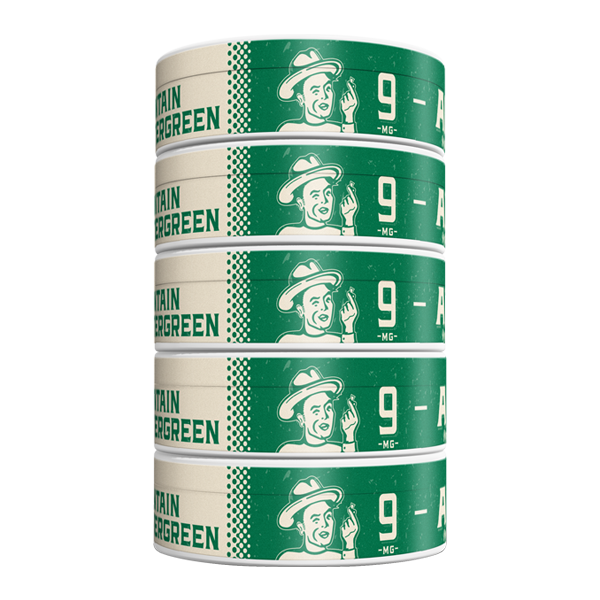 5 pack of mg Mountain Wintergreen ALP Pouches for Wholesale