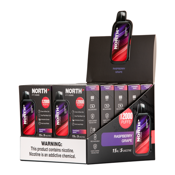 Raspberry Grape North FT12000 Vape 10 Pack for Wholesale