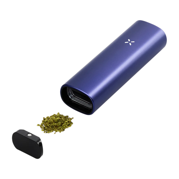 Pax Plus Starter Kit Periwinkle A2 for wholesale