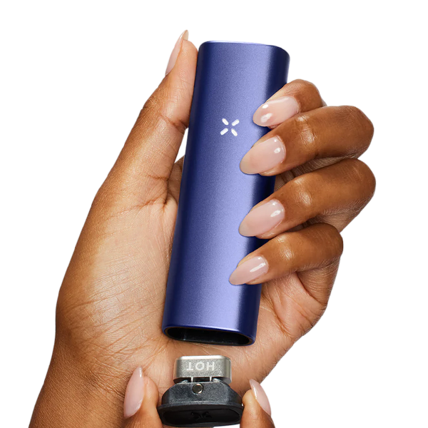 Pax Plus Starter Kit Periwinkle A3 for wholesale