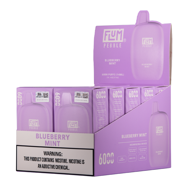 Blueberry Mint Flum Pebble Vape for Wholesale 10-Pack