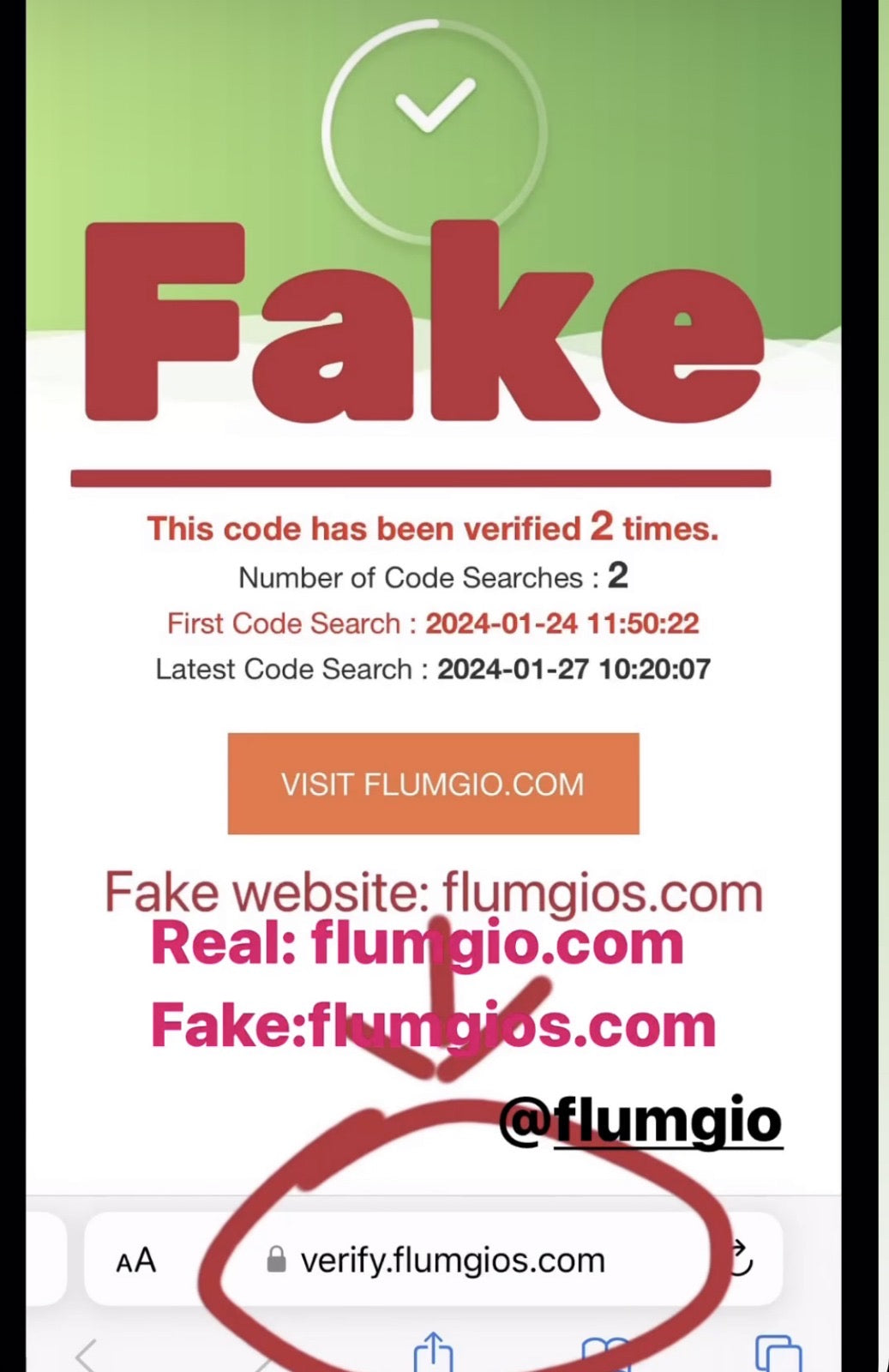 Flumgio website image
